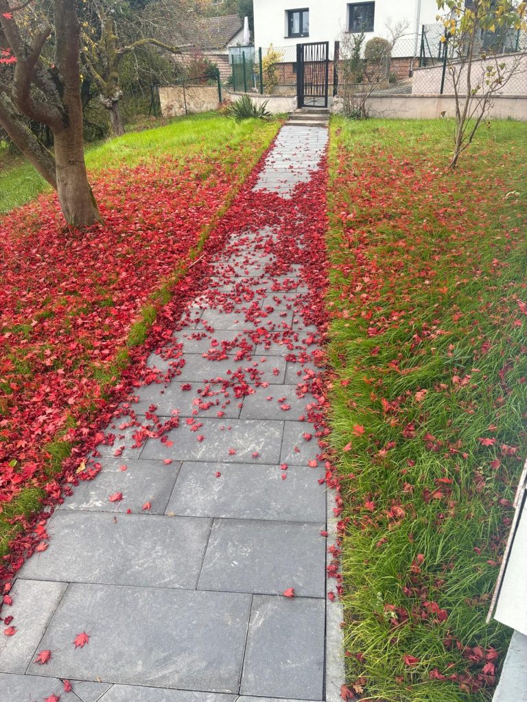 07bd9fe8-da1a-493e-b94a-8cec56da4540