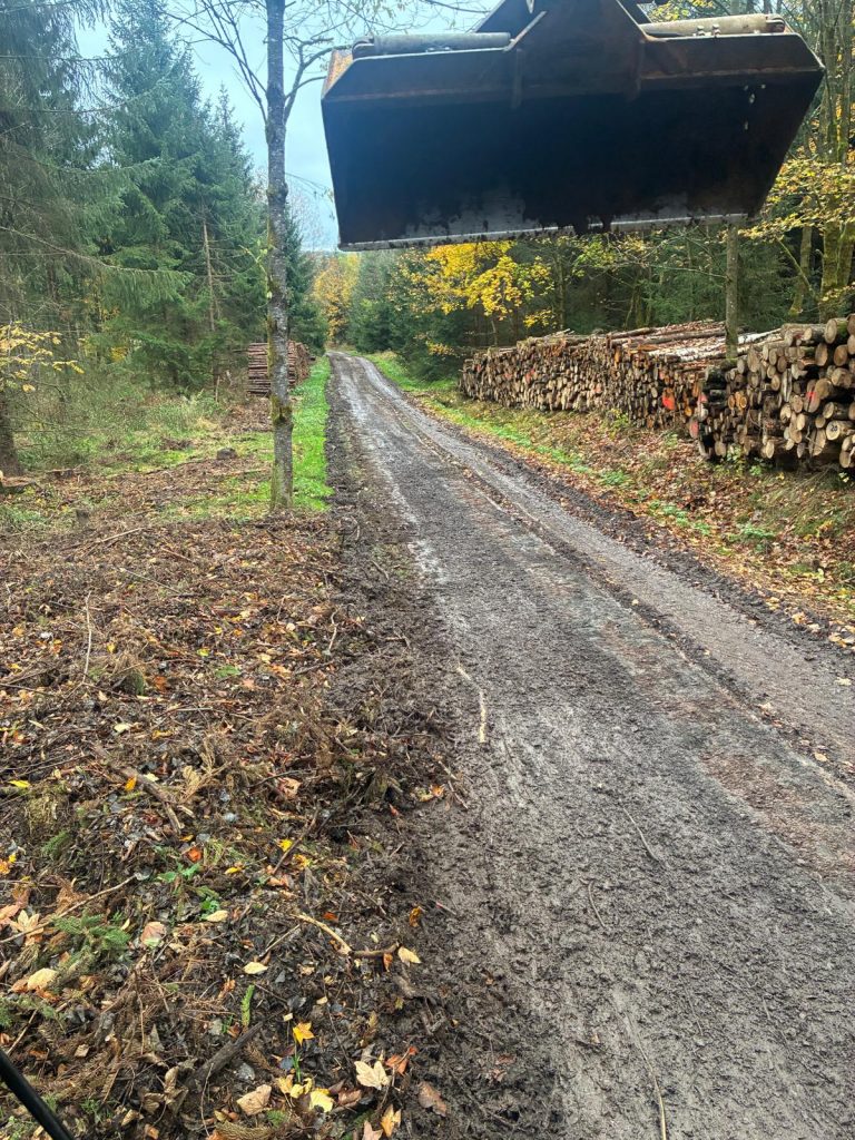 24d5333a-a68f-4b1f-8945-4ce4b51cf31f