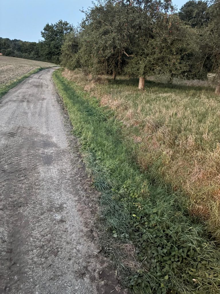 71412ef4-1ac1-4778-9f00-945189b6dfb5